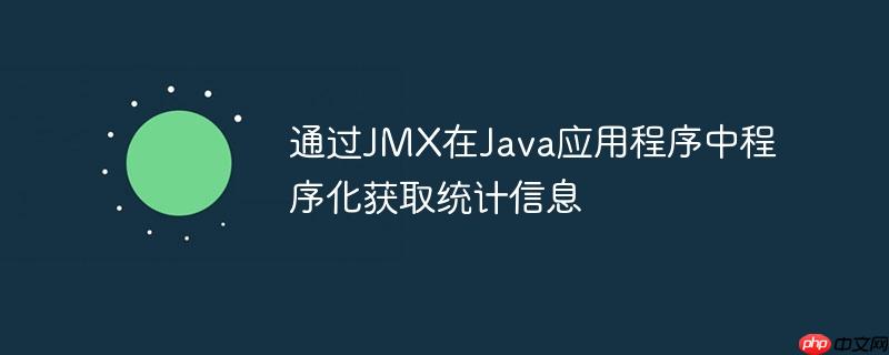通过JMX在Java应用程序中程序化获取统计信息