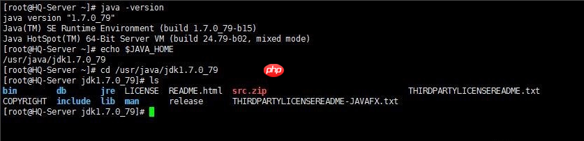 [255]如何查找Linux服务器上JDK安装路径？