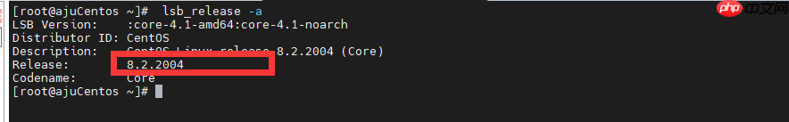 CentOS 8.x 下尝试安装.Net 5 的运行时