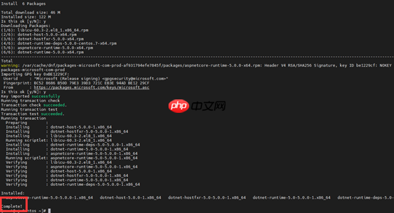 CentOS 8.x 下尝试安装.Net 5 的运行时