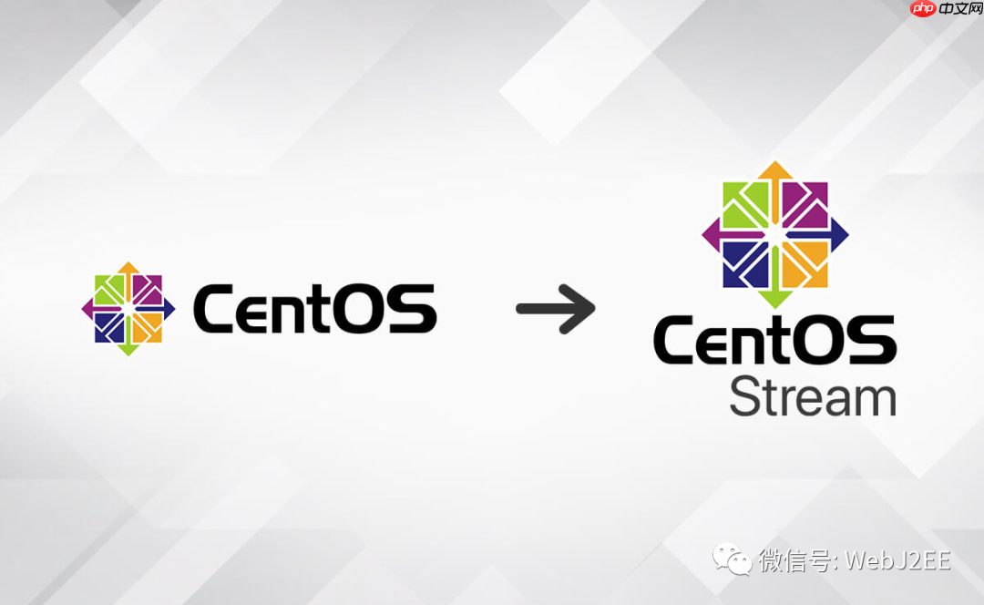 【CentOS 8】：唉？yum install 怎么突然不行了？