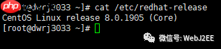 【CentOS 8】：唉？yum install 怎么突然不行了？