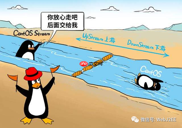 【CentOS 8】：唉？yum install 怎么突然不行了？
