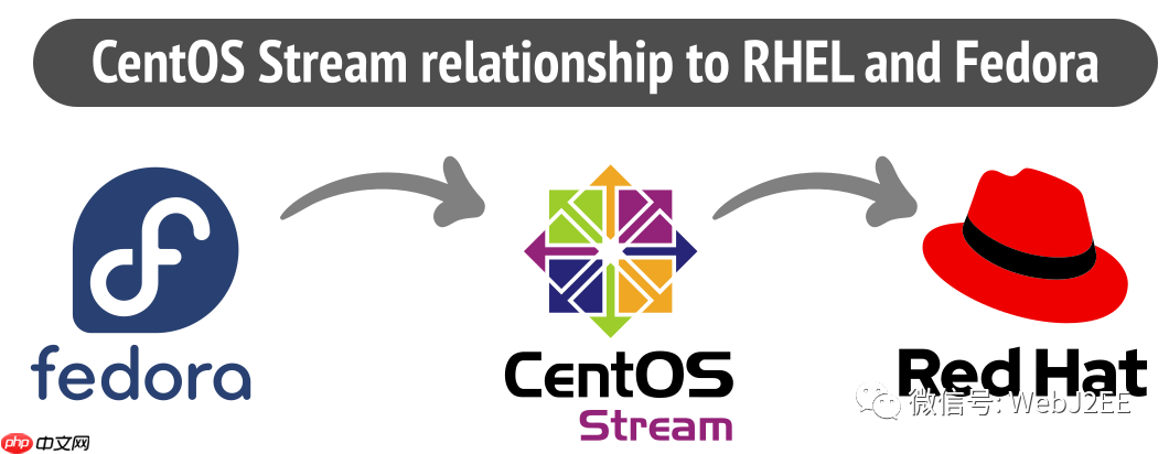 【CentOS 8】：唉？yum install 怎么突然不行了？
