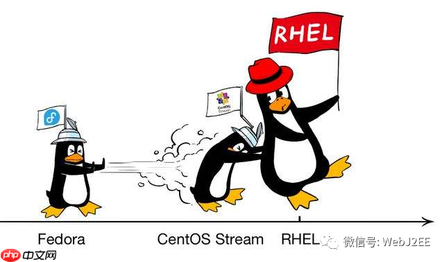 【CentOS 8】：唉？yum install 怎么突然不行了？