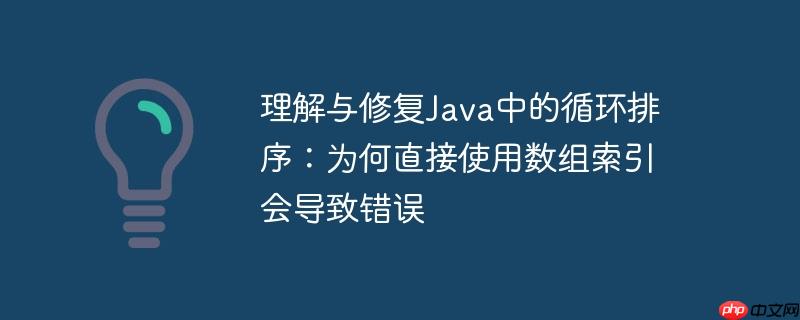 理解与修复Java中的循环排序：为何直接使用数组索引会导致错误
