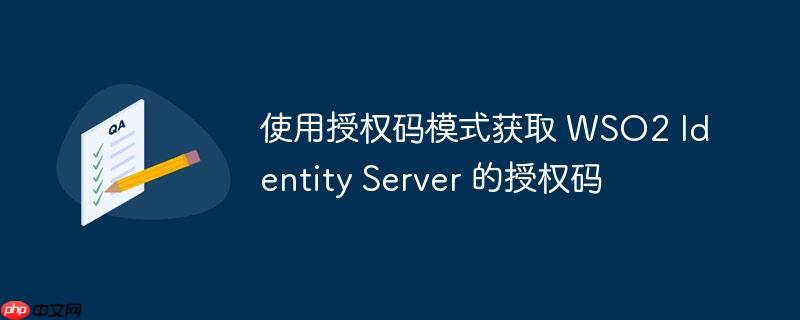使用授权码模式获取 WSO2 Identity Server 的授权码