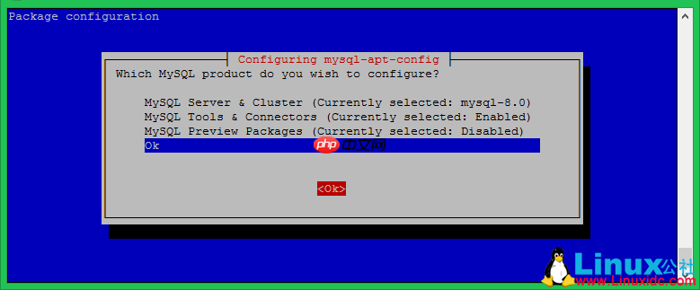 如何在Debian 10（Buster）Linux上安装MySQL