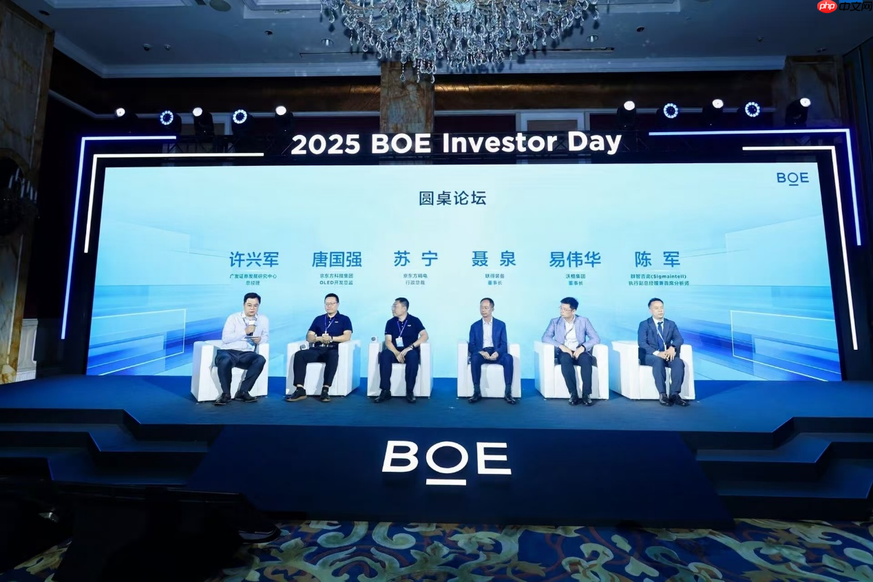 “2025京东方投资者日”在沪举办  资本战略转型开启价值创造新阶段