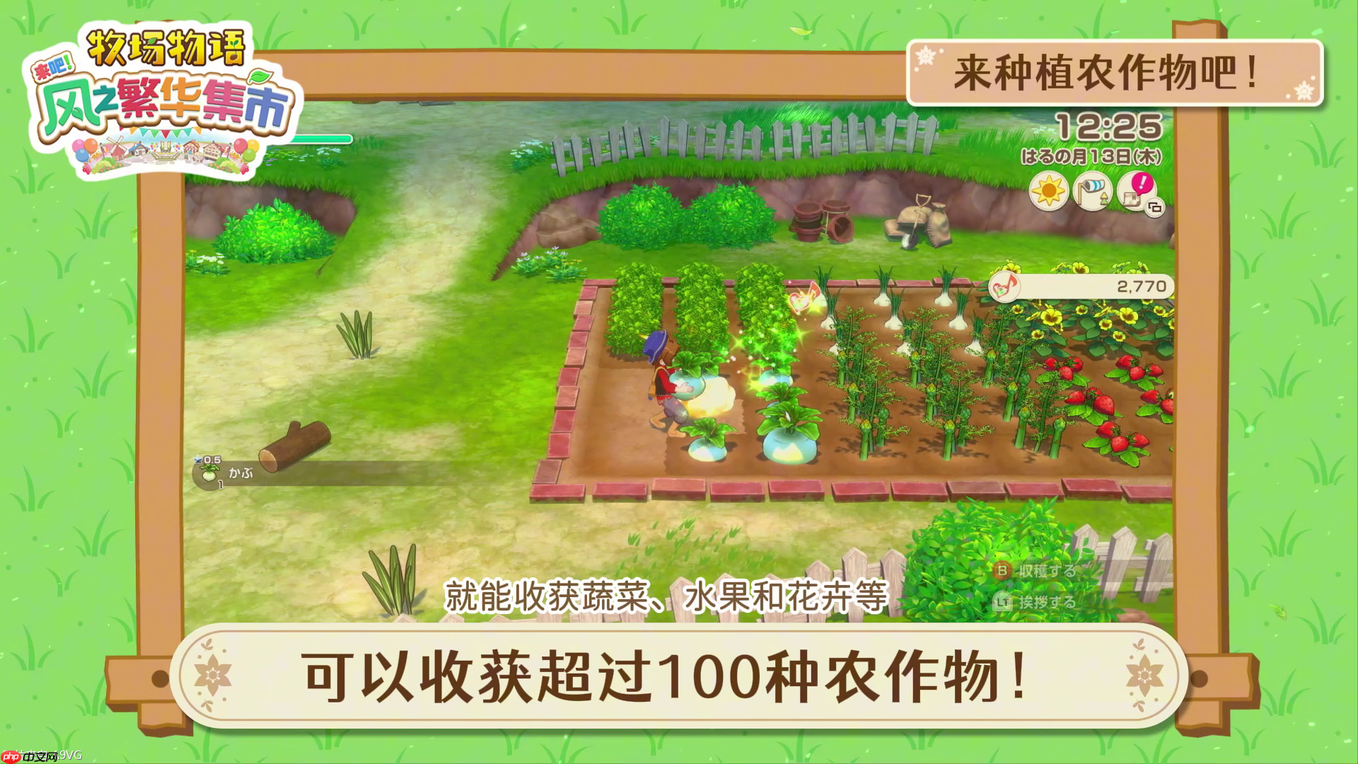 《牧场物语 来吧！风之繁华集市》 系统介绍影片