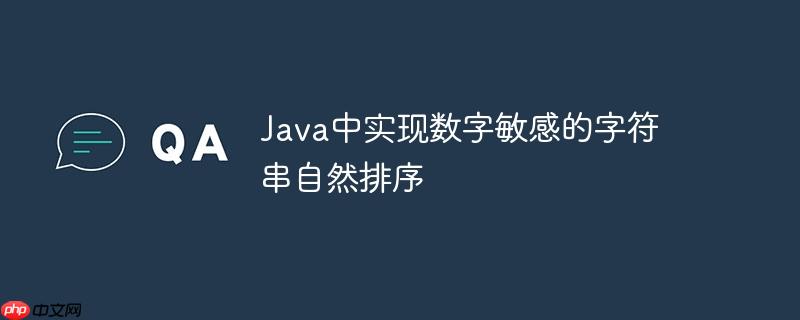 Java中实现数字敏感的字符串自然排序