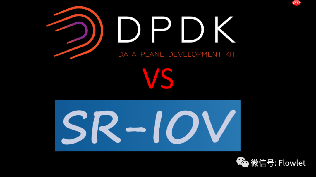 NFV中：DPDK与SR-IOV应用场景及性能对比