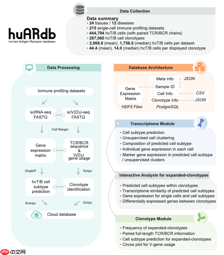 huARdb：单细胞水平克隆型-转录组分析的人类抗原受体数据库