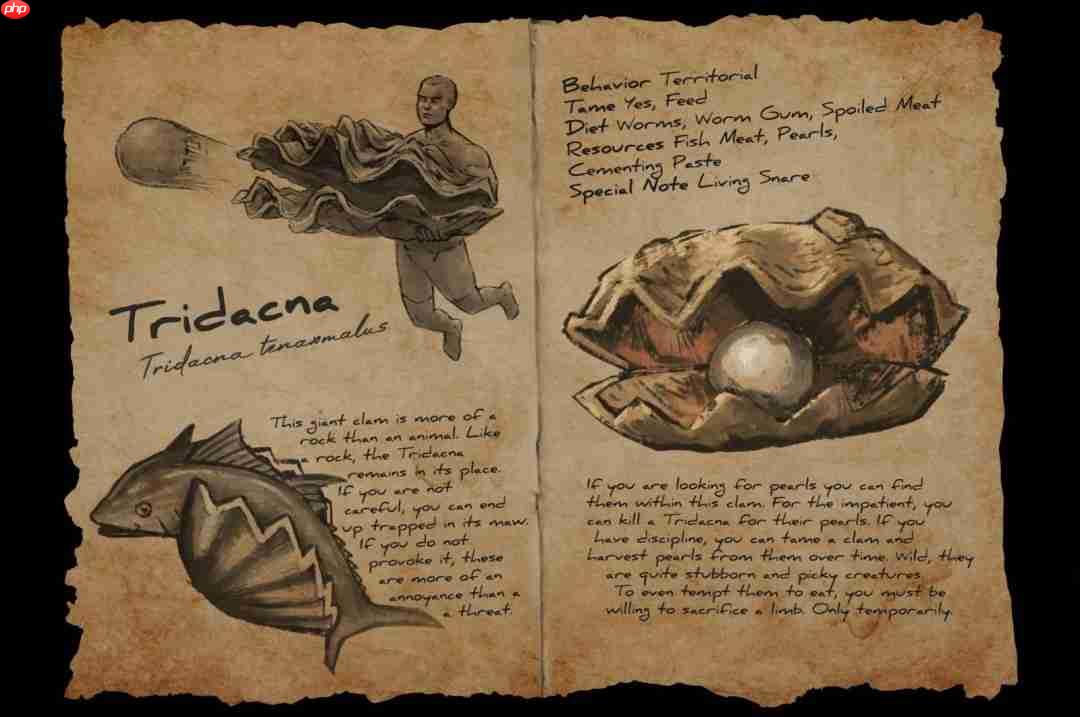 《方舟生存进化》“夏日海洋”DLC内容预告，启用官服支持、全新深海内容首曝