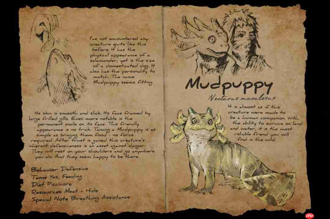 《方舟生存进化》“夏日海洋”DLC内容预告，启用官服支持、全新深海内容首曝