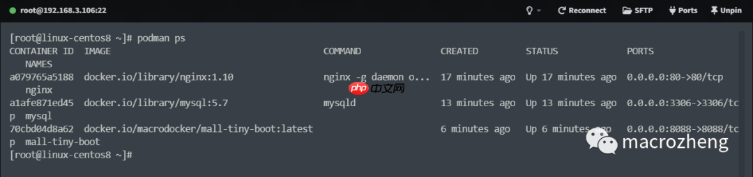 Podman 已成 Linux 官方标配！Docker 没戏了？