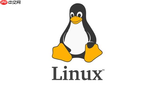 如何优化Linux网络参数 sysctl调优关键配置解析