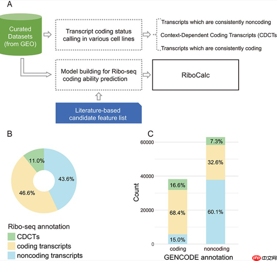 【Briefings in Bioinformatics】四篇好文简读-专题21