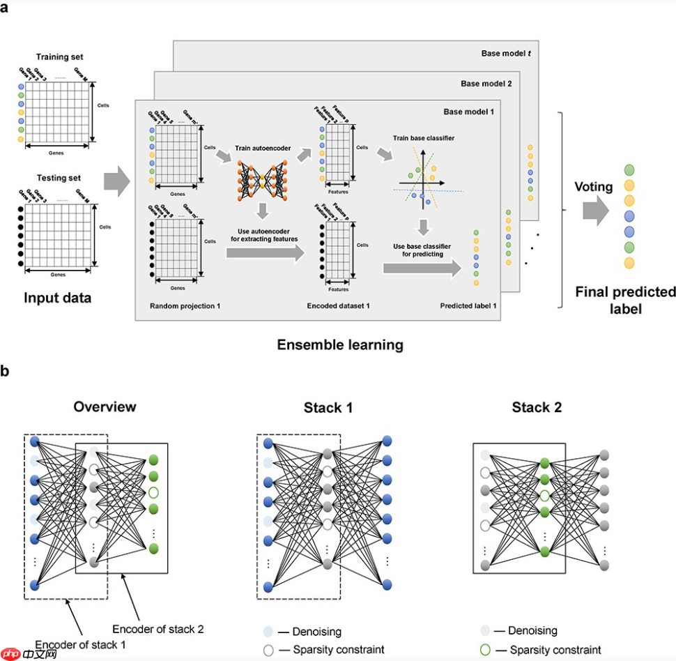 【Briefings in Bioinformatics】四篇好文简读-专题21