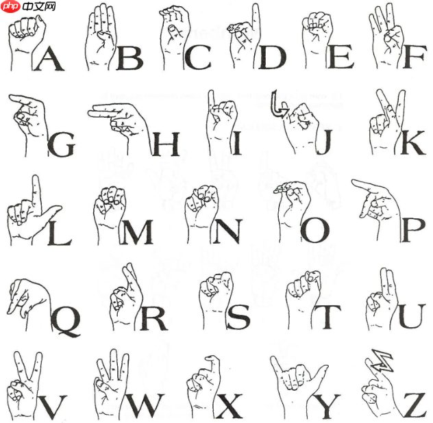 【掌上心语】PaddlePaddle 3.0实现29类智能手语识别助力残障人士 - 创想鸟