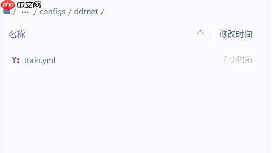 【CVPR2021】DDRNets:高效实时车道分割算法 - 创想鸟
