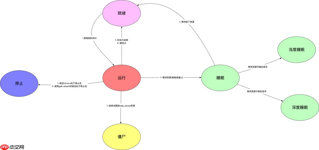 Linux进程状态之上篇