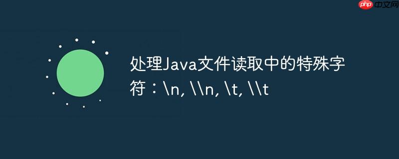 处理java文件读取中的特殊字符：, n, , t