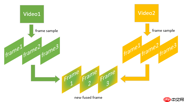 【官方】Paddle2.1实现视频理解优化模型 -- PP-TSN - 创想鸟
