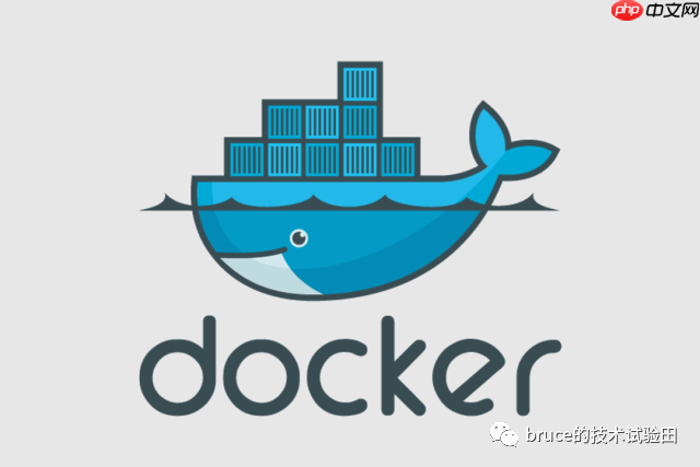闲鱼Coder学Docker（二）：初识Docker