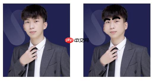 PaddleHub人脸关键点检测：一键生成蜡笔小新的远房表弟 - 创想鸟