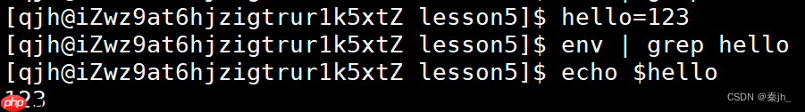 【Linux】命令行参数和环境变量