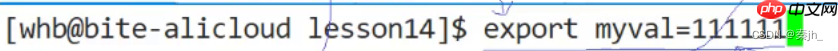 【Linux】命令行参数和环境变量
