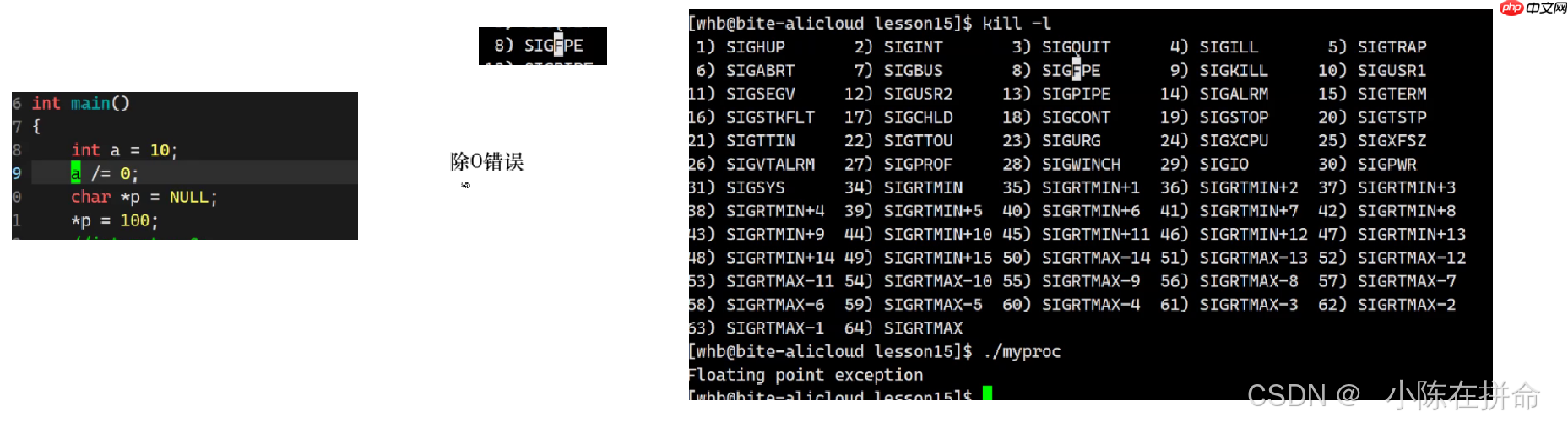 Linux：进程的创建、终止和等待