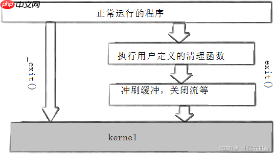 Linux：进程的创建、终止和等待