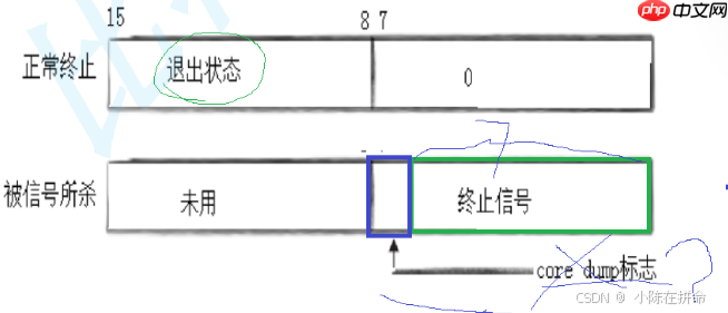 Linux：进程的创建、终止和等待