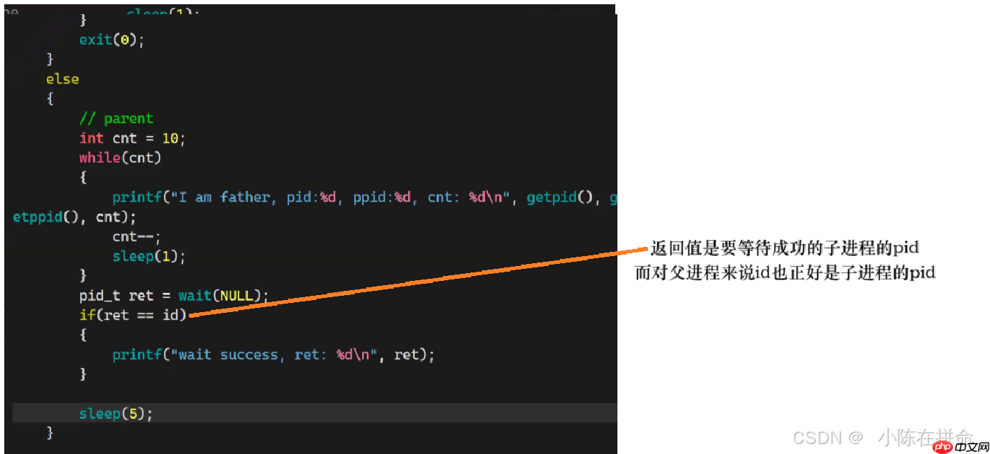 Linux：进程的创建、终止和等待
