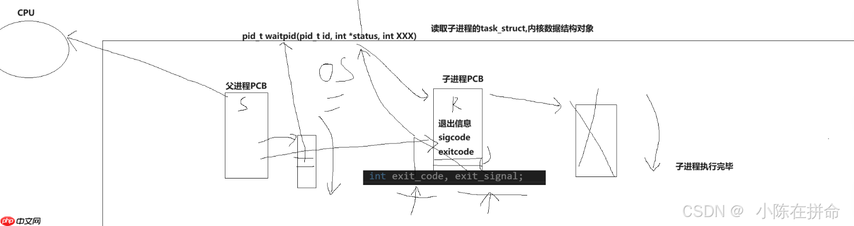 Linux：进程的创建、终止和等待