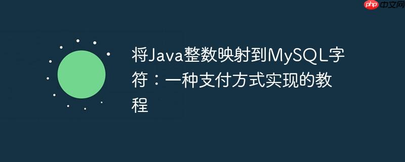 将Java整数映射到MySQL字符：一种支付方式实现的教程
