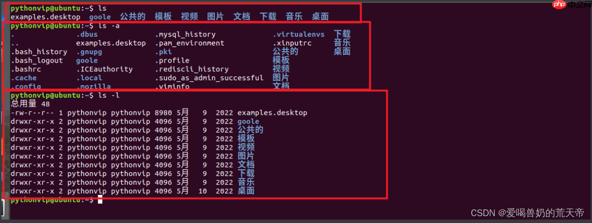 【Linux终端探险】：从入门到熟练，玩转基础命令的秘密（一）