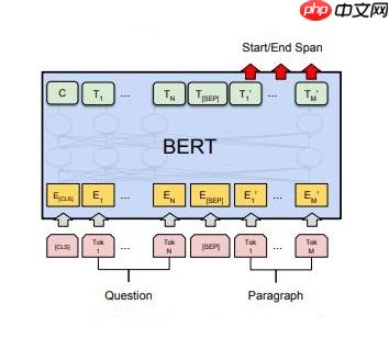 基于BERT模型的机器阅读理解