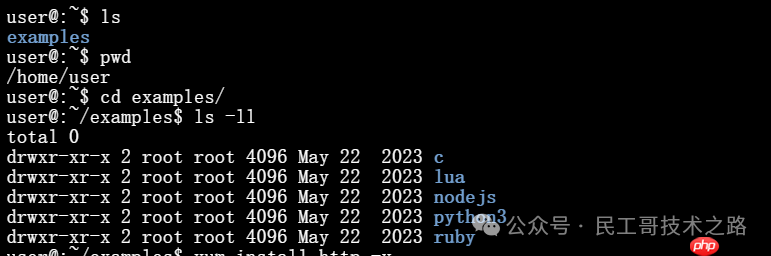 浏览器上的虚拟机！可以直接线上使用各种编程语言，以及 Linux 命令