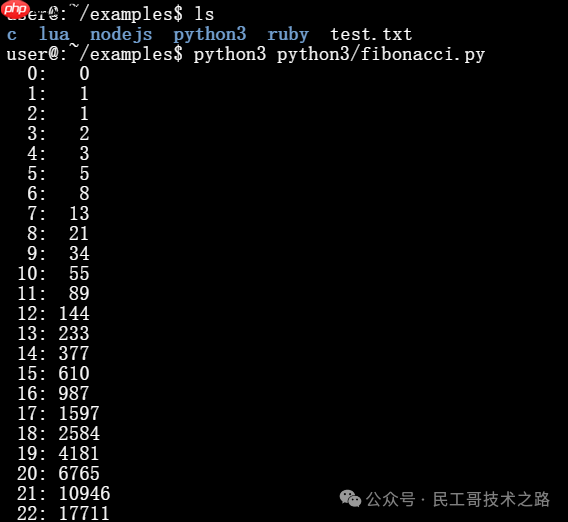 浏览器上的虚拟机！可以直接线上使用各种编程语言，以及 Linux 命令