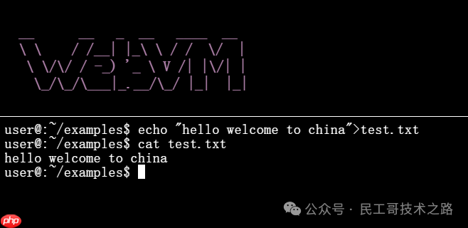 浏览器上的虚拟机！可以直接线上使用各种编程语言，以及 Linux 命令
