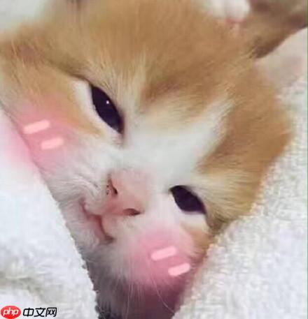 『PPYOLO tiny尝鲜』基于PaddleDetection的人脸疲劳检测 - 创想鸟