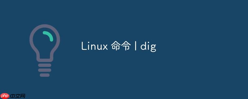 Linux 命令 | dig