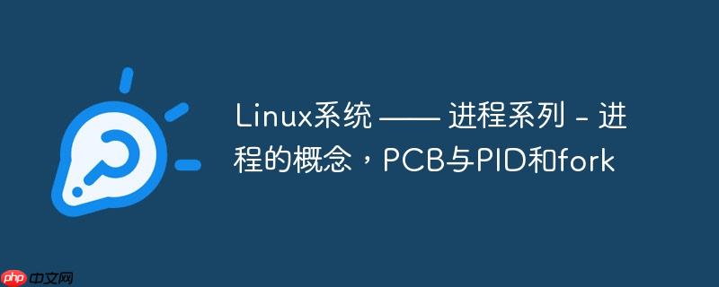 Linux系统 —— 进程系列 - 进程的概念，PCB与PID和fork