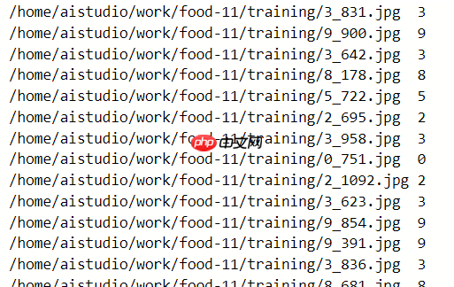 paddle实现食物分类 - 创想鸟
