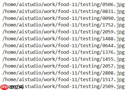 paddle实现食物分类 - 创想鸟