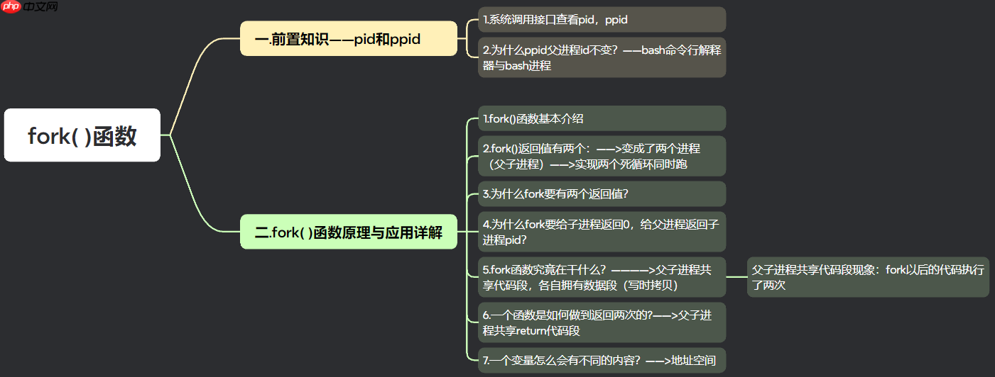 【Linux系列】fork( )函数原理与应用详解——了解【父子进程及其特性】(代码演示，画图帮助理解，思维导图，精简)（11）