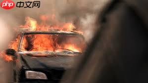 使用PaddleDetection2.0自定义数据集实现火焰识别预测 - 创想鸟